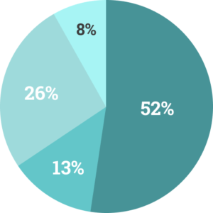 Pie Chart showing breakdown by race and gender