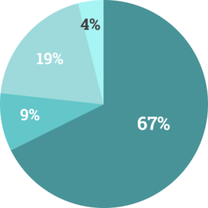 Pie Chart showing breakdown by race and gender